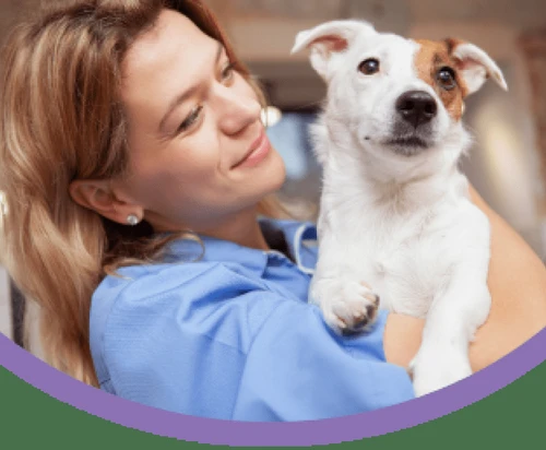 Happy dog with its owner in Oklahoma